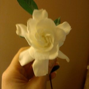 Meet your Posher, Sandra